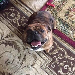 Meet your Posher, Virginia